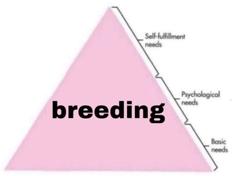 whats a breeding kink|Impregnation fetishism